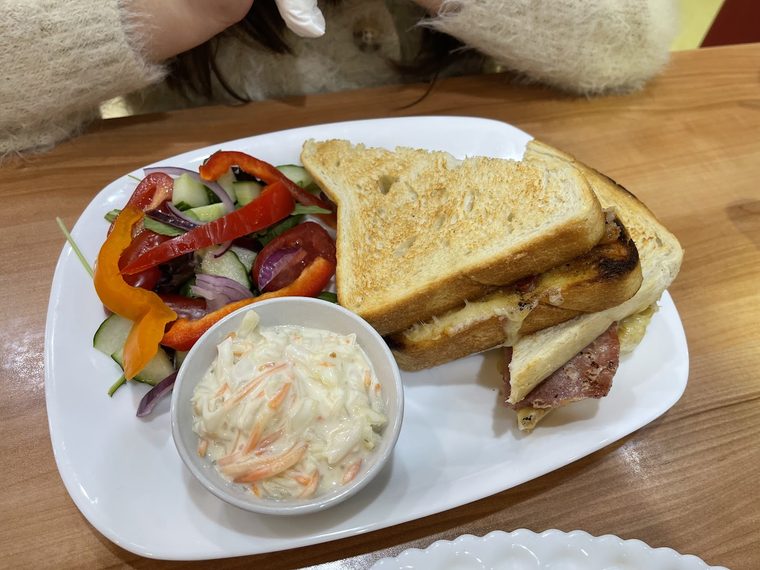 Toasted sandwich with coleslaw and salad